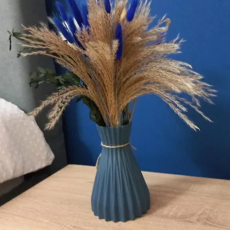 Lindor House * ティラナ