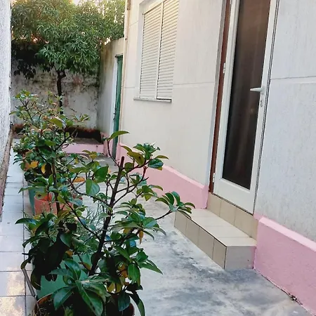 Lindor House 公寓 地拉那