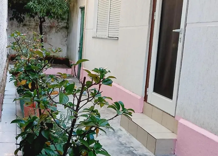 Lindor House 公寓 地拉那